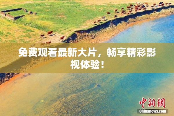 免费观看最新大片，畅享精彩影视体验！