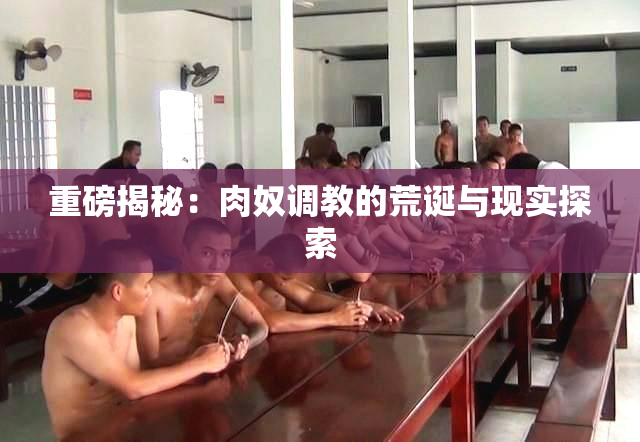 重磅揭秘：肉奴调教的荒诞与现实探索
