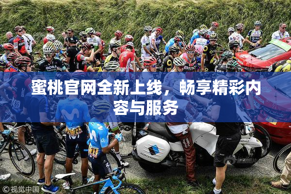 蜜桃官网全新上线，畅享精彩内容与服务