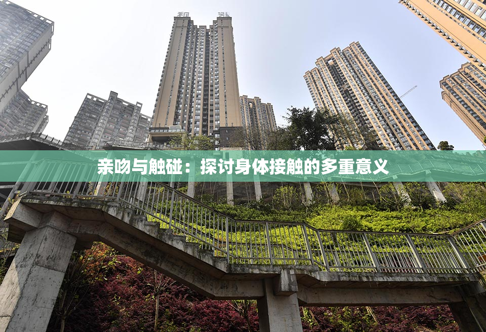 亲吻与触碰：探讨身体接触的多重意义