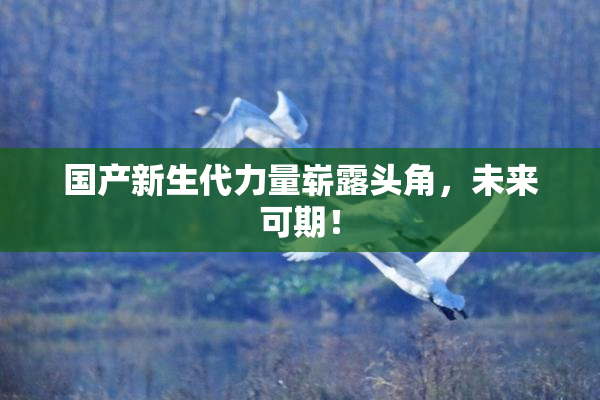 国产新生代力量崭露头角，未来可期！