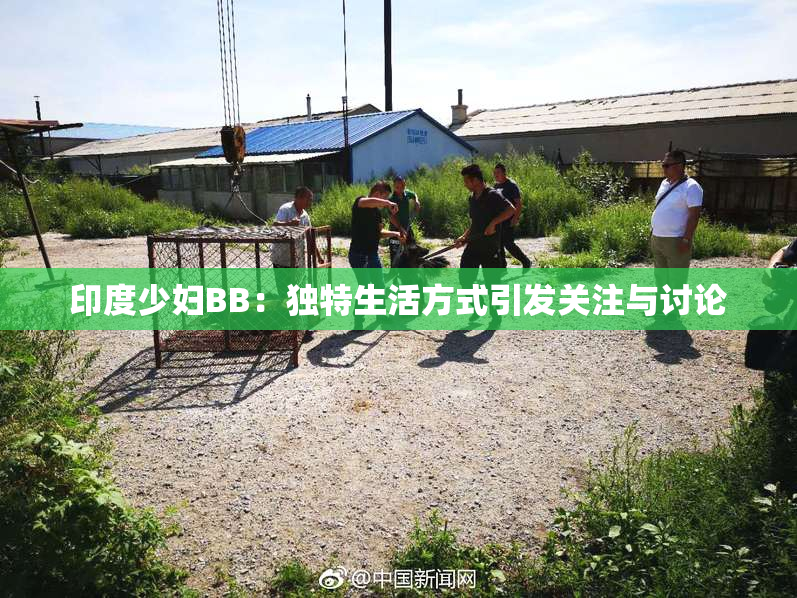 印度少妇BB：独特生活方式引发关注与讨论