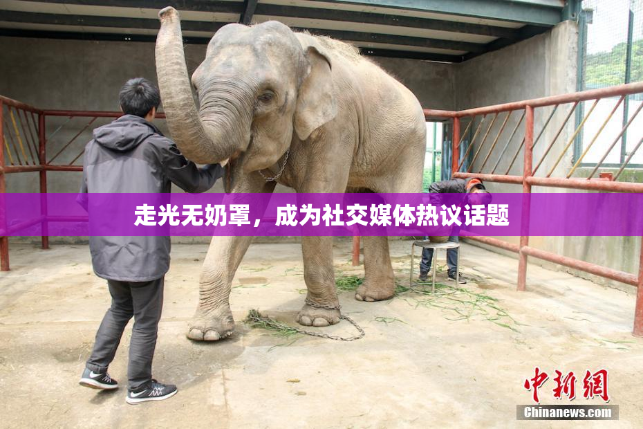 走光无奶罩，成为社交媒体热议话题