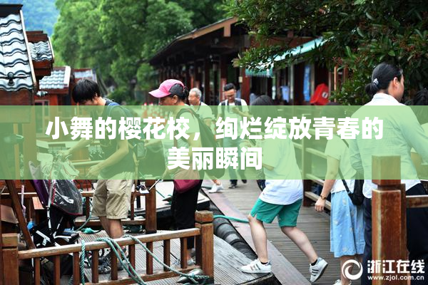 小舞的樱花校，绚烂绽放青春的美丽瞬间