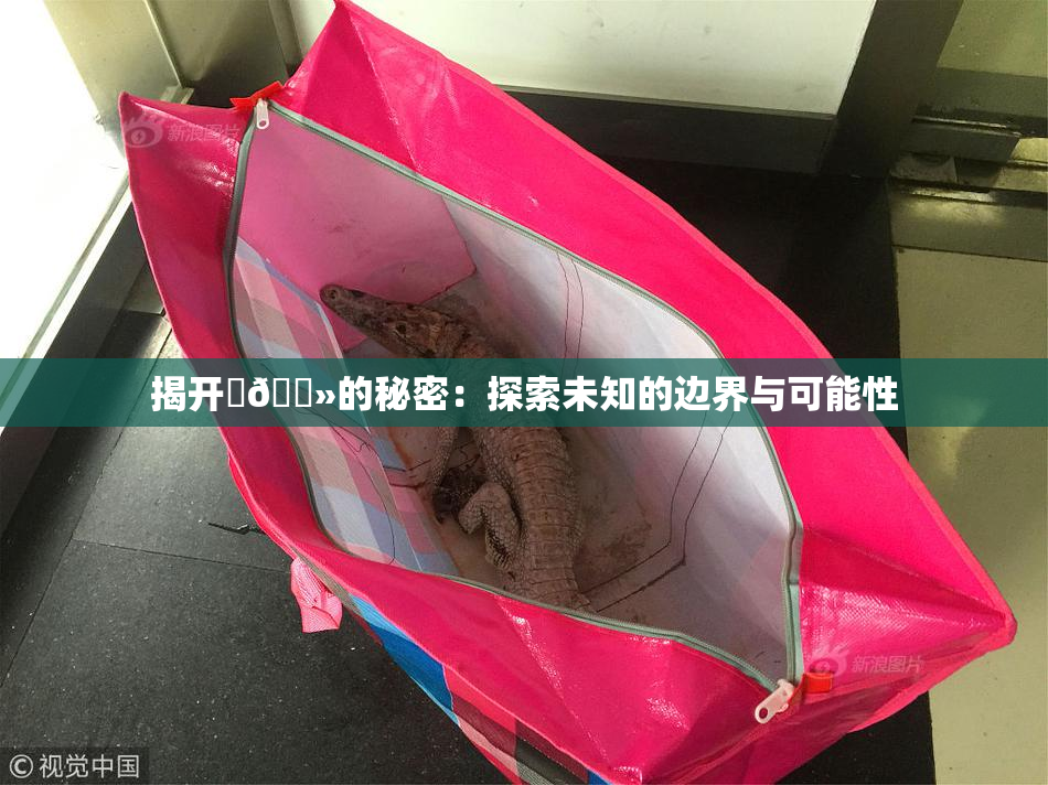 揭开‌🐻的秘密：探索未知的边界与可能性