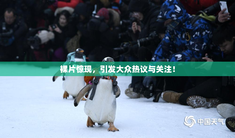 裸片惊现，引发大众热议与关注！