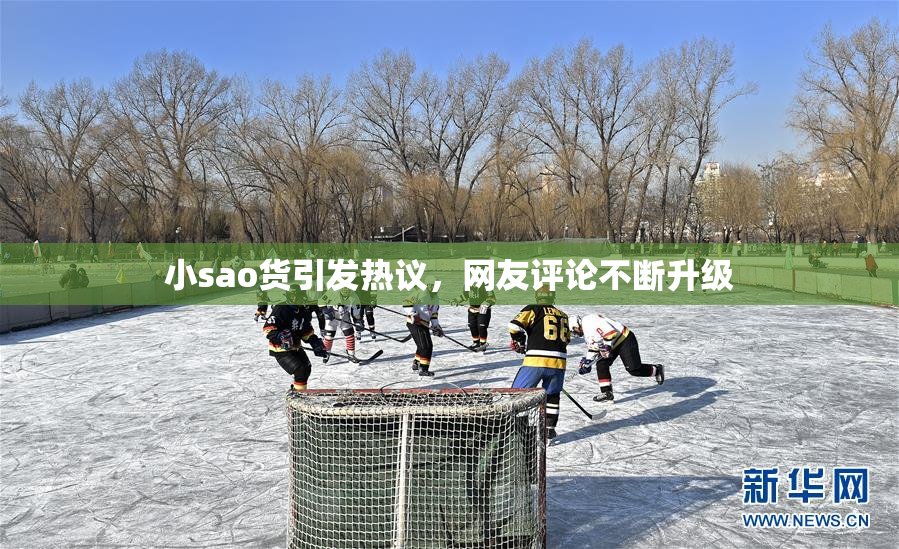 小sao货引发热议，网友评论不断升级