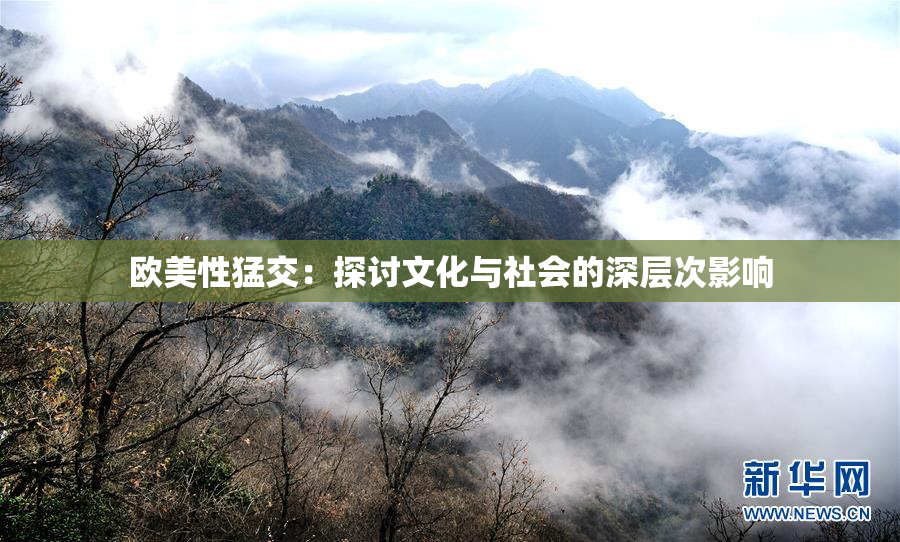 欧美性猛交：探讨文化与社会的深层次影响
