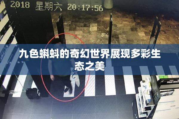 九色蝌蚪的奇幻世界展现多彩生态之美