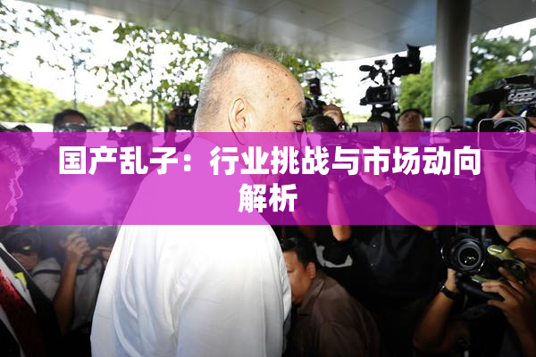 国产乱子：行业挑战与市场动向解析