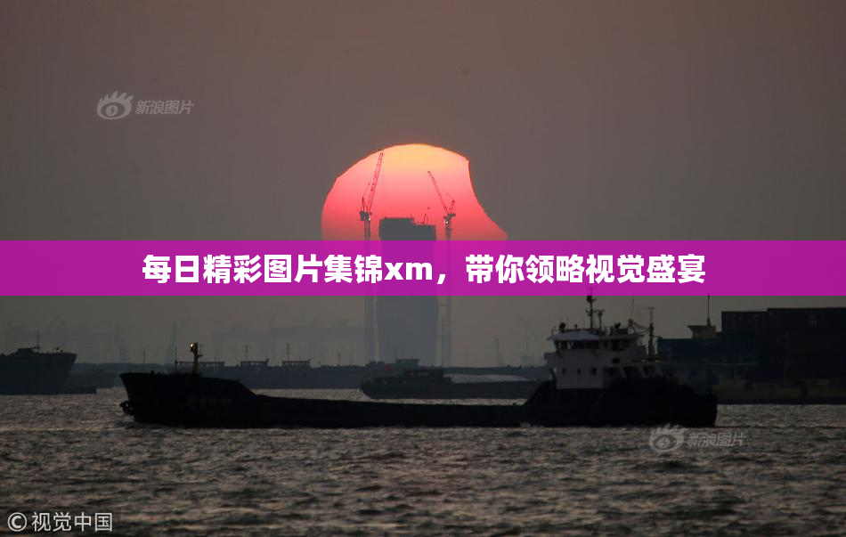 每日精彩图片集锦xm，带你领略视觉盛宴