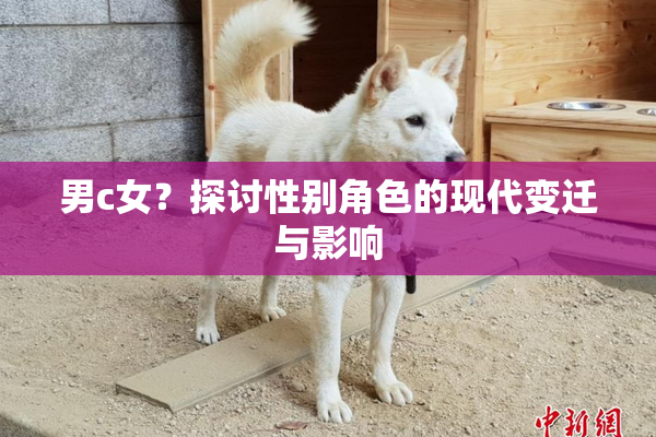 男c女？探讨性别角色的现代变迁与影响