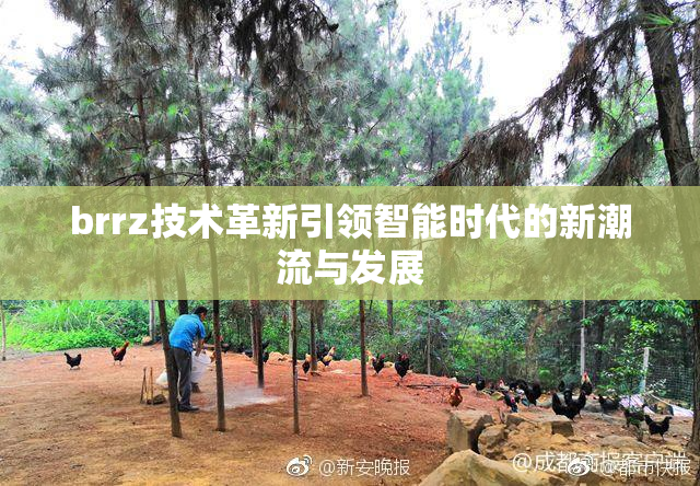 brrz技术革新引领智能时代的新潮流与发展