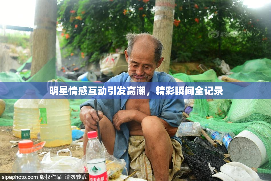 明星情感互动引发高潮，精彩瞬间全记录