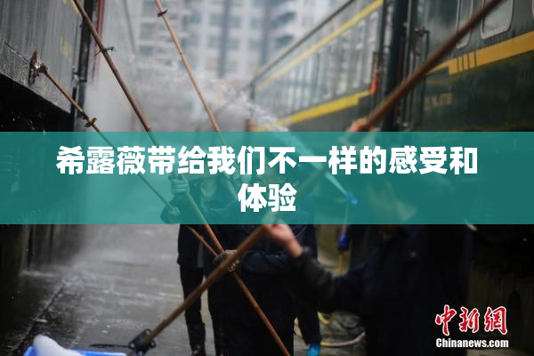 希露薇带给我们不一样的感受和体验