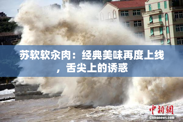 苏软软汆肉：经典美味再度上线，舌尖上的诱惑