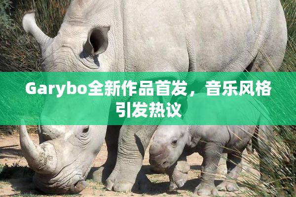 Garybo全新作品首发，音乐风格引发热议