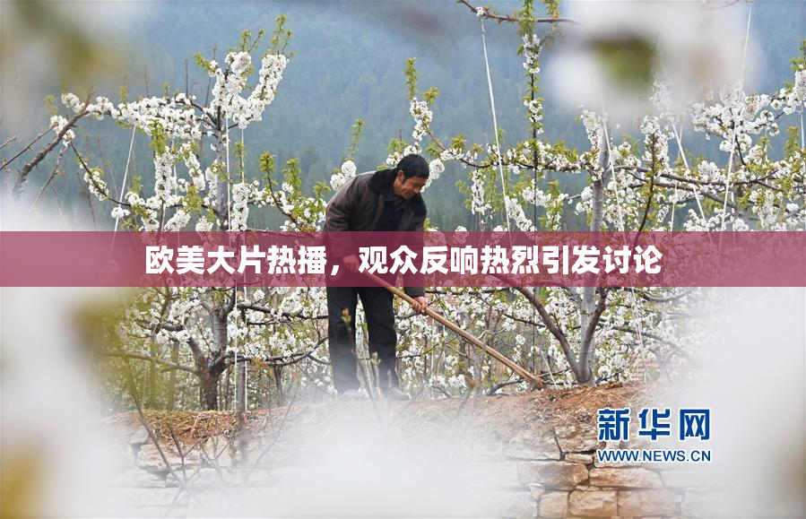 欧美大片热播，观众反响热烈引发讨论