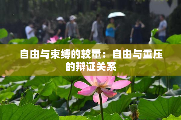 自由与束缚的较量：自由与重压的辩证关系