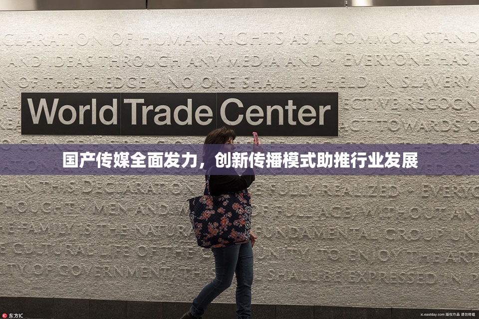 国产传媒全面发力，创新传播模式助推行业发展