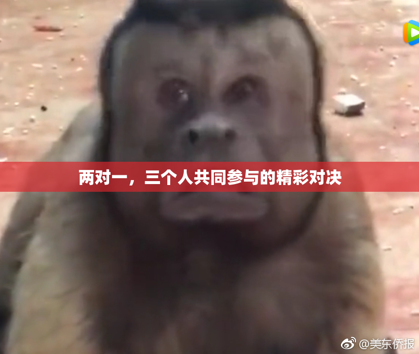两对一，三个人共同参与的精彩对决