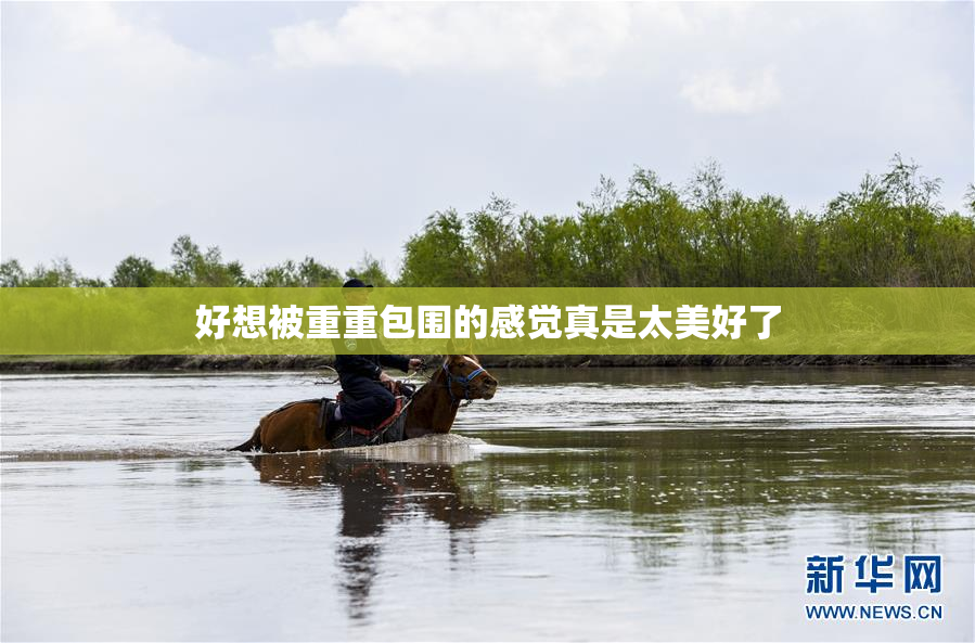 好想被重重包围的感觉真是太美好了