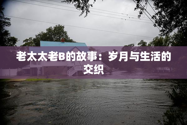 老太太老B的故事：岁月与生活的交织