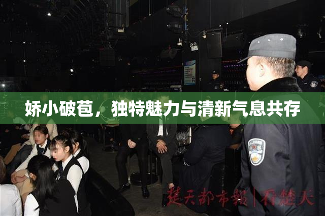 娇小破苞，独特魅力与清新气息共存