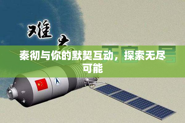 秦彻与你的默契互动，探索无尽可能
