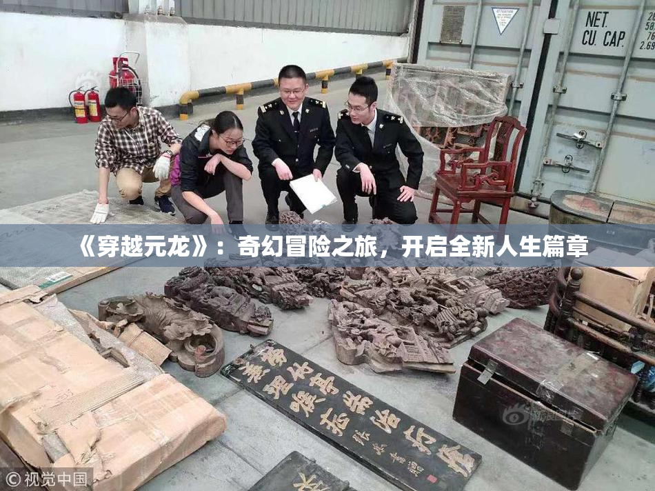 《穿越元龙》：奇幻冒险之旅，开启全新人生篇章