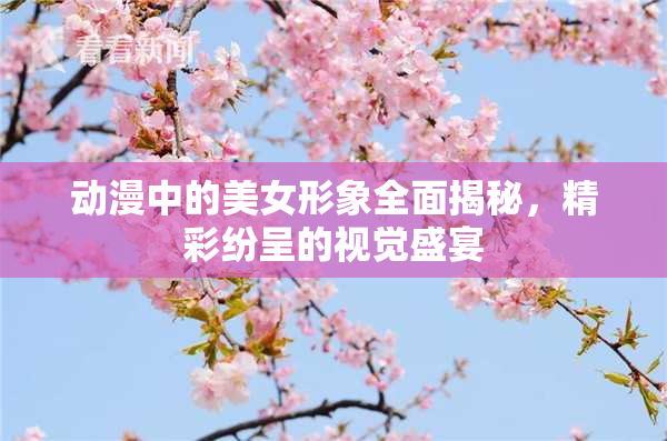 动漫中的美女形象全面揭秘，精彩纷呈的视觉盛宴