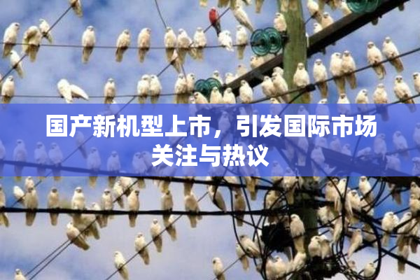 国产新机型上市，引发国际市场关注与热议