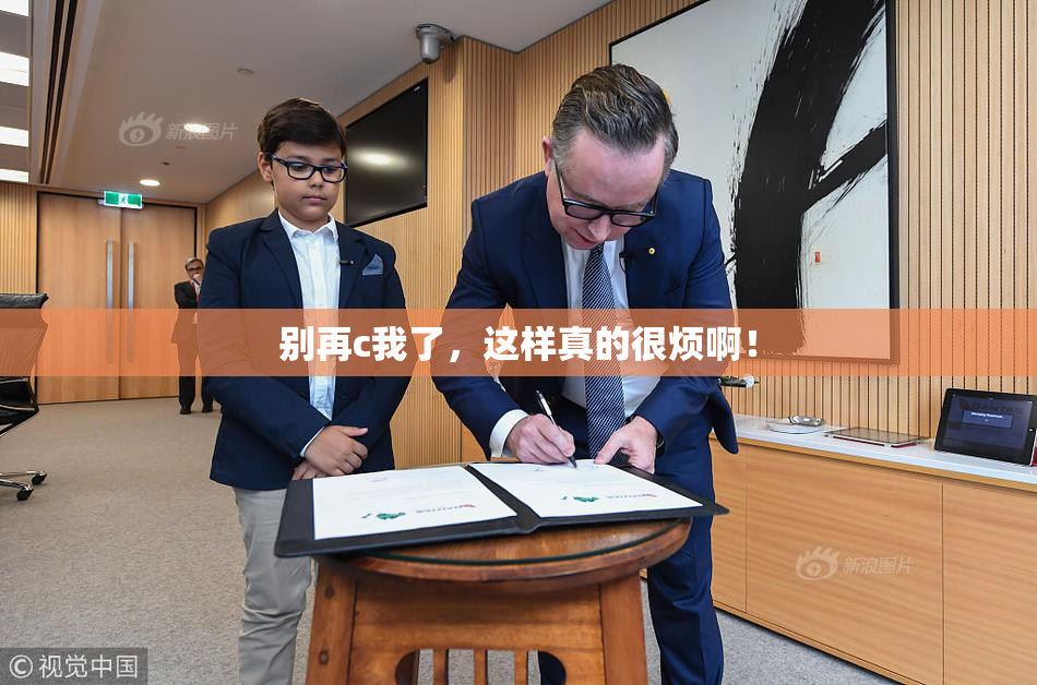 别再c我了，这样真的很烦啊！