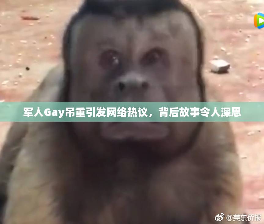 军人Gay吊重引发网络热议，背后故事令人深思