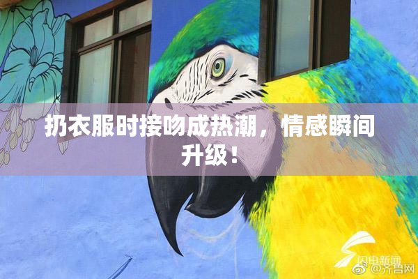 扔衣服时接吻成热潮，情感瞬间升级！