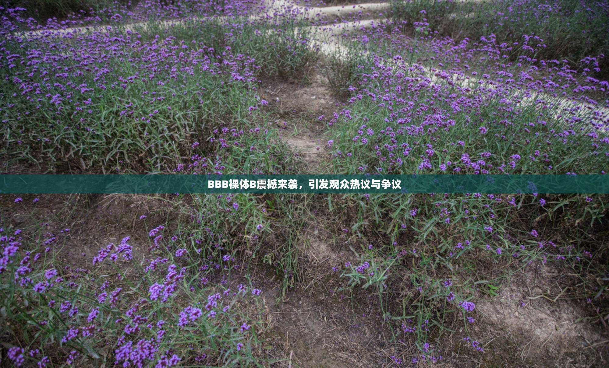 BBB裸体B震撼来袭，引发观众热议与争议