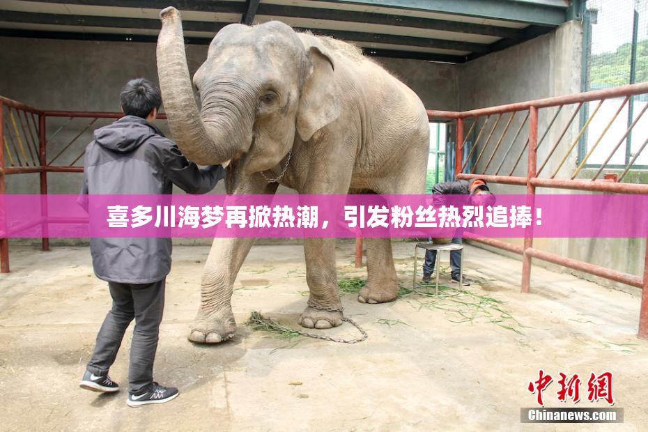 喜多川海梦再掀热潮，引发粉丝热烈追捧！