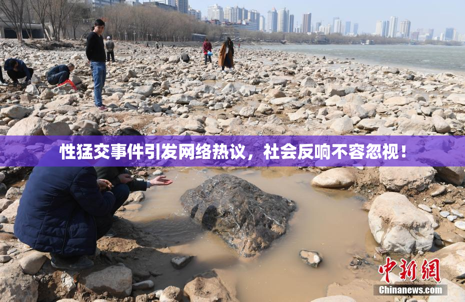 性猛交事件引发网络热议，社会反响不容忽视！
