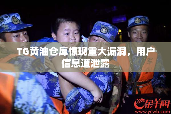 TG黄油仓库惊现重大漏洞，用户信息遭泄露