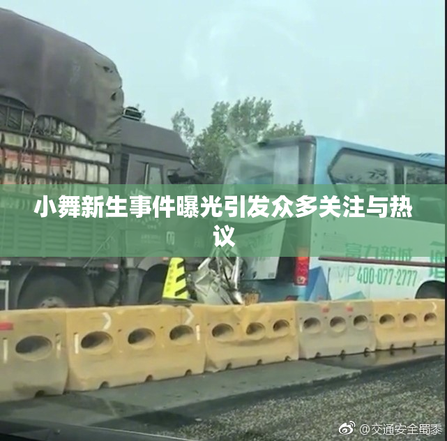 小舞新生事件曝光引发众多关注与热议