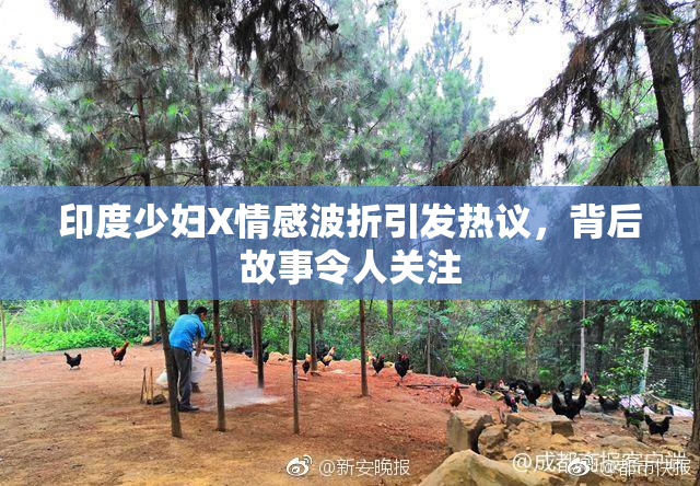 印度少妇X情感波折引发热议，背后故事令人关注