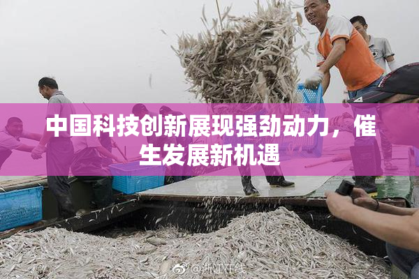中国科技创新展现强劲动力，催生发展新机遇