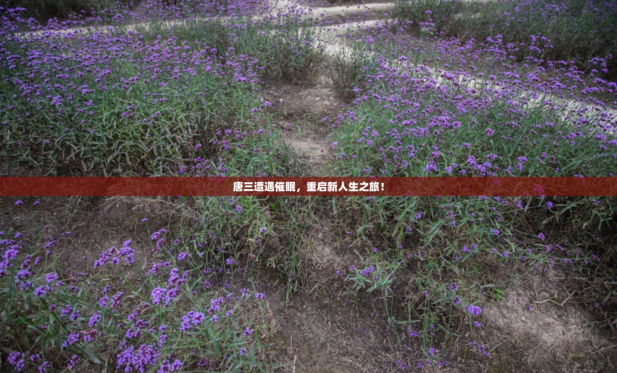 唐三遭遇催眠，重启新人生之旅！