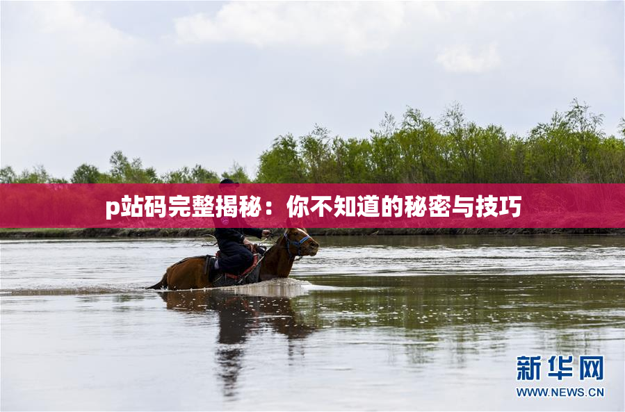 p站码完整揭秘：你不知道的秘密与技巧