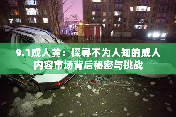 9.1成人黄：探寻不为人知的成人内容市场背后秘密与挑战