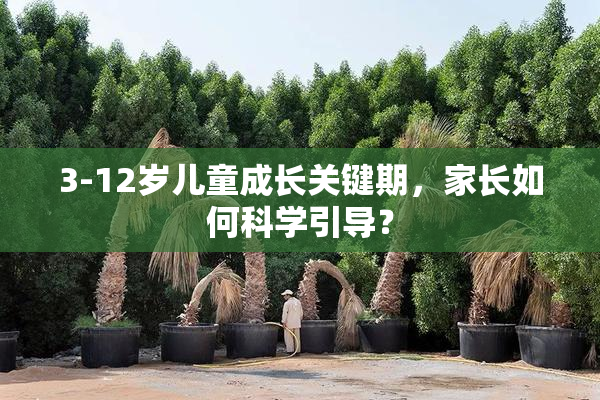 3-12岁儿童成长关键期，家长如何科学引导？