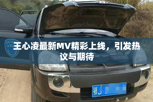 王心凌最新MV精彩上线，引发热议与期待
