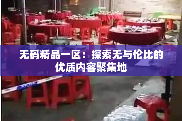 无码精品一区：探索无与伦比的优质内容聚集地