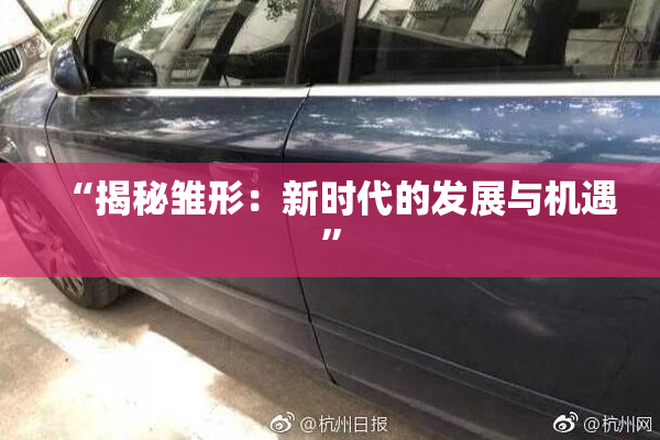 “揭秘雏形：新时代的发展与机遇”
