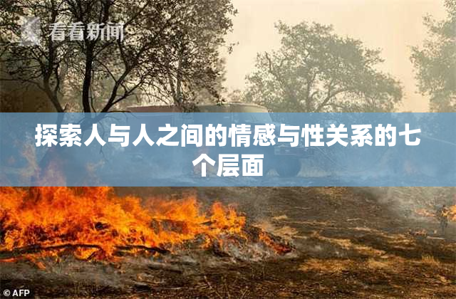 探索人与人之间的情感与性关系的七个层面